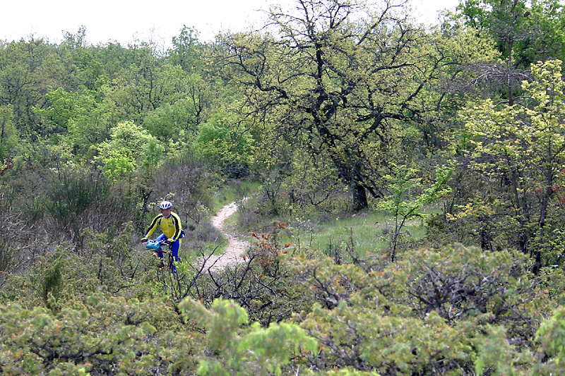 jcb_2009_16_Mont-St-Cyr.jpg